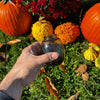 Hand holding a small glass bottle with pumpkins and flowers in the background