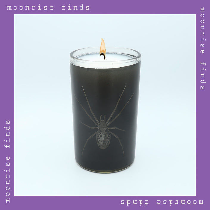 Spider Sillouhette Vase