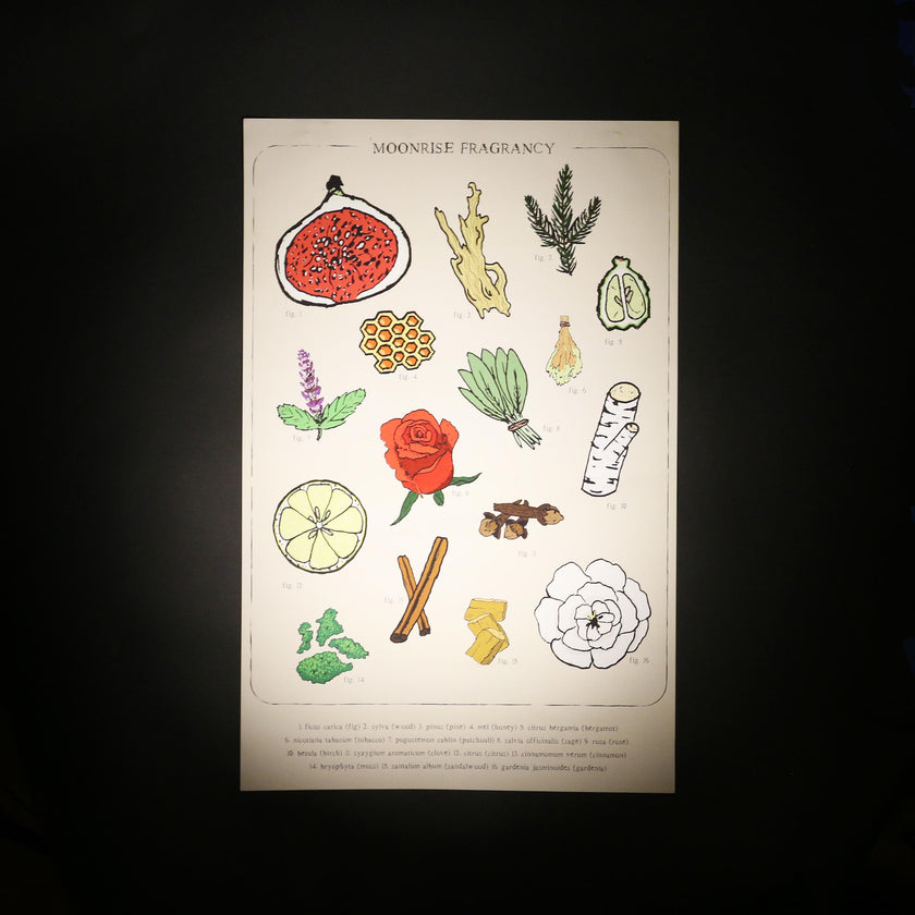 Classic Fragrance Poster