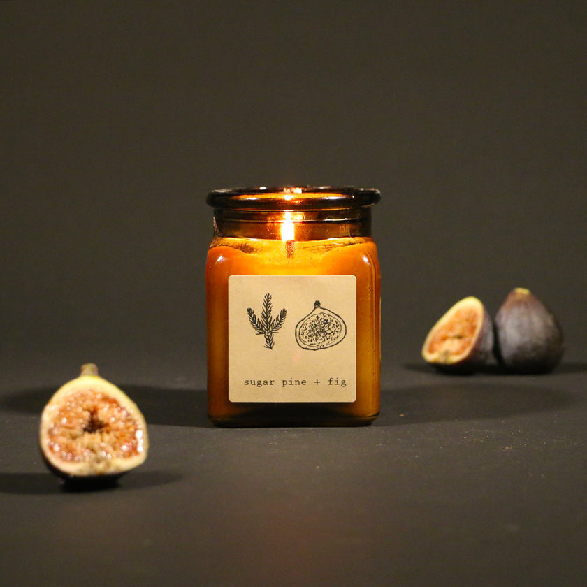Sugar Pine + Fig